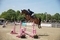 Leo Lamb Flies to Victory in the Redpost Equestrian Foxhunter Second Round at Wales and West Showground